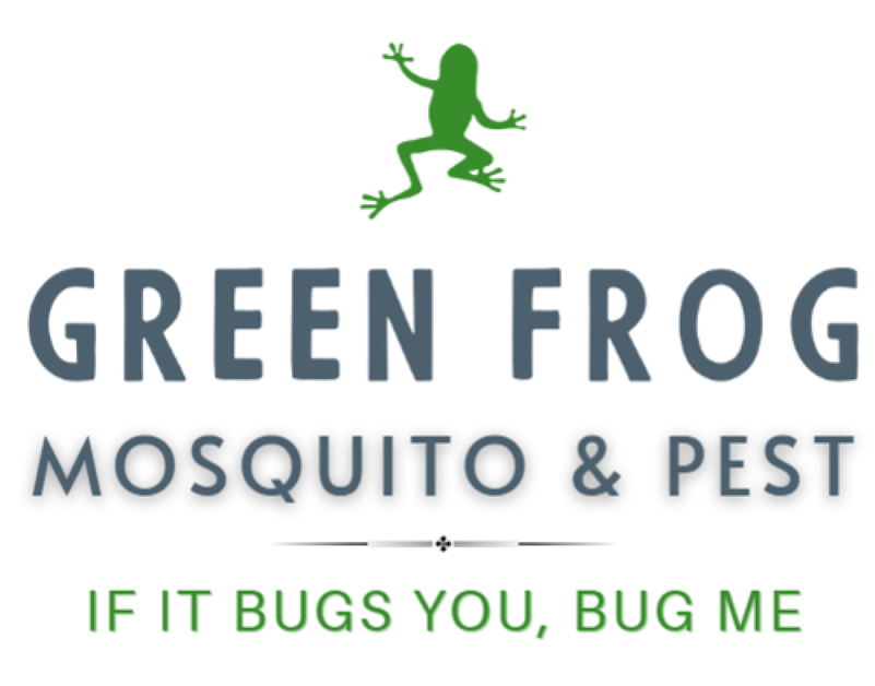 Green Frog Mosquito & Pest Your Pest Solution